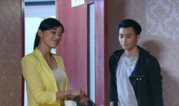 都市家庭喜剧电视剧,都市欢乐喜剧大揭秘