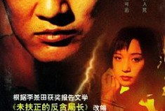 跨国追逃电视剧,猎狐行动背后的正义之战