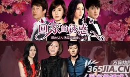 回家的电视剧,一部描绘亲情与成长的感人剧集